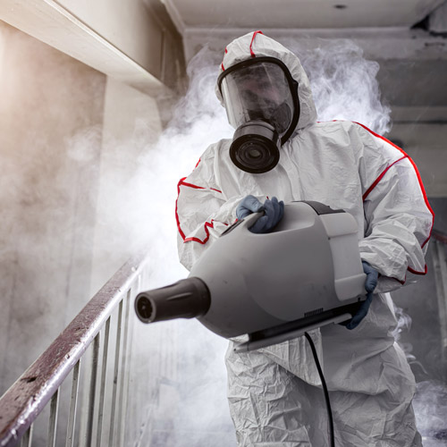 servizi di disinfezione