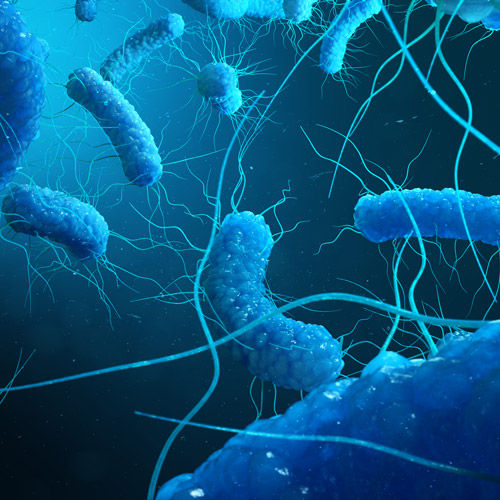 Molecole di legionella
